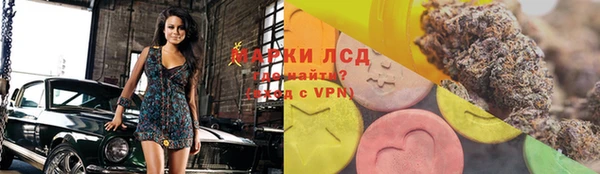 твердый Арсеньев