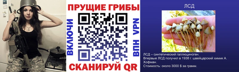 Псилоцибиновые грибы GOLDEN TEACHER  Мелеуз 